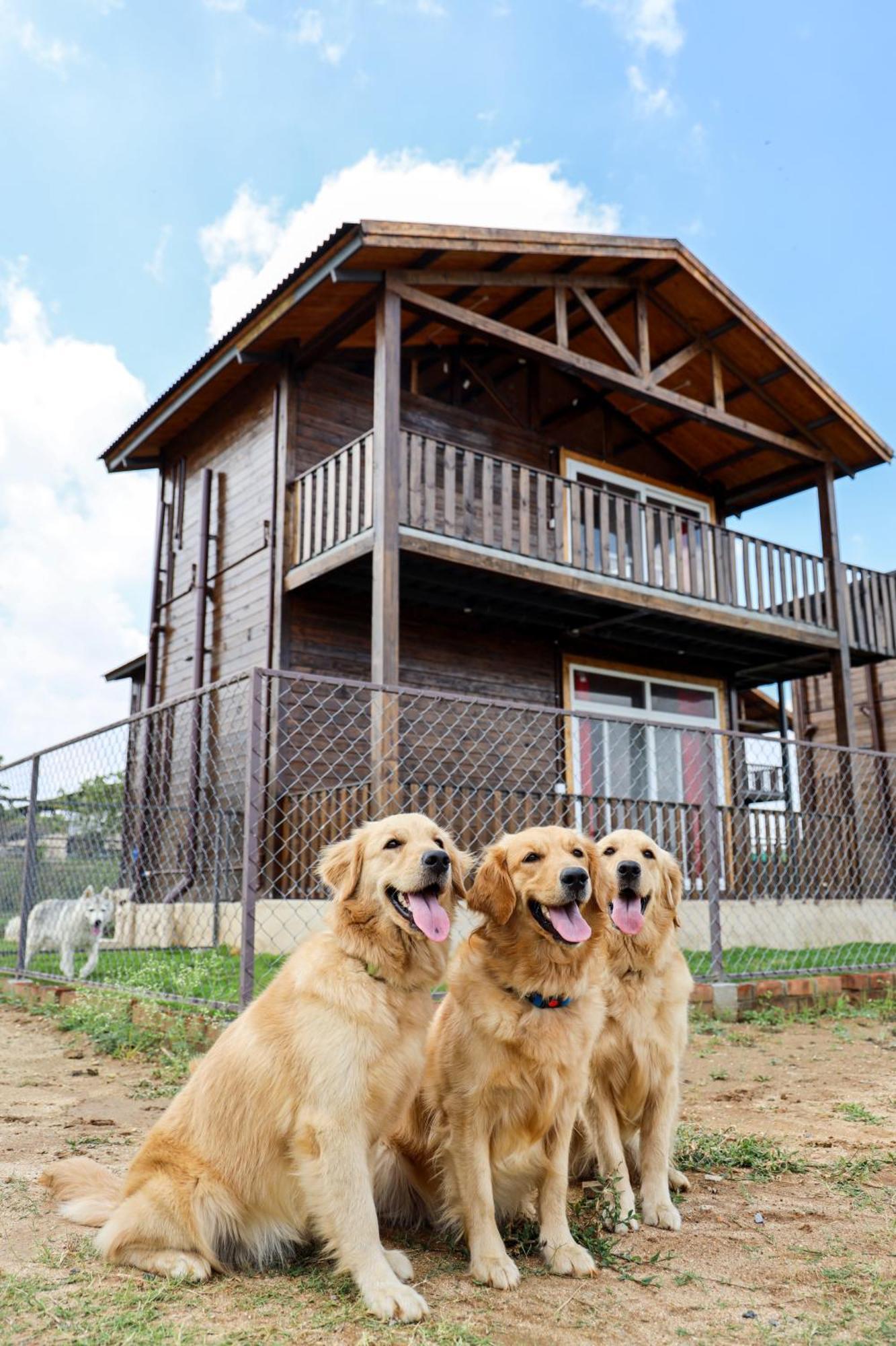 Therpup Resort Kammasandra