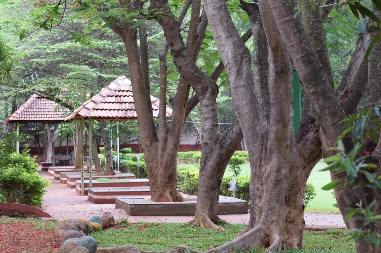 Resort Gold Coins Club & Kammasandra