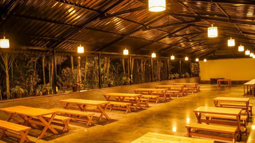 Resort Palms